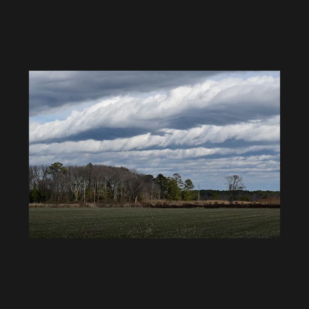 Clouds over farmland by ToniaDelozier