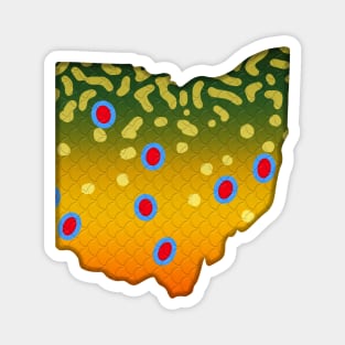 Brook Trout Fish Ohio State Map Fishing Gifts Magnet