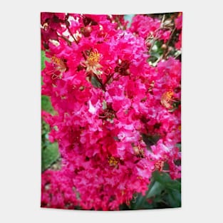 Bright Pink Flowers Tapestry