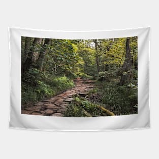 The path to Mallyan Spout Tapestry