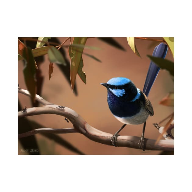 Fairy Wren by AlexRiesArt