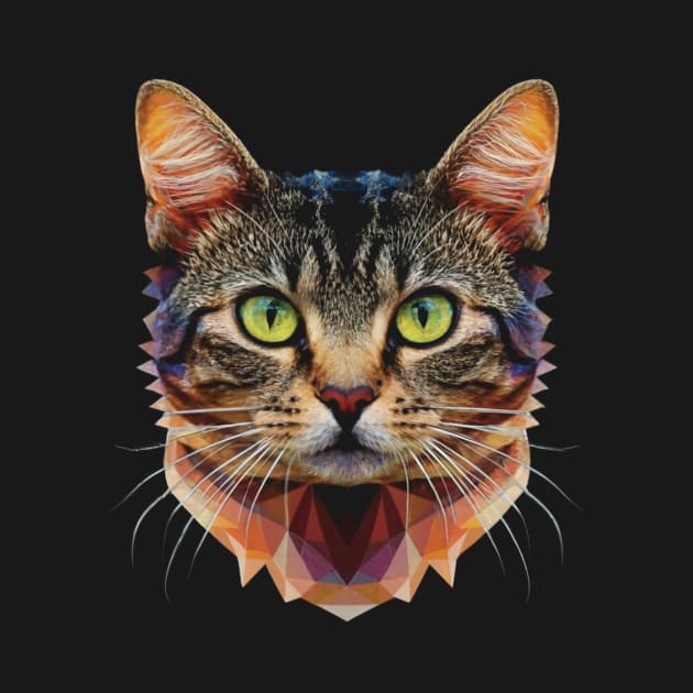 calm cat by FoolDesign