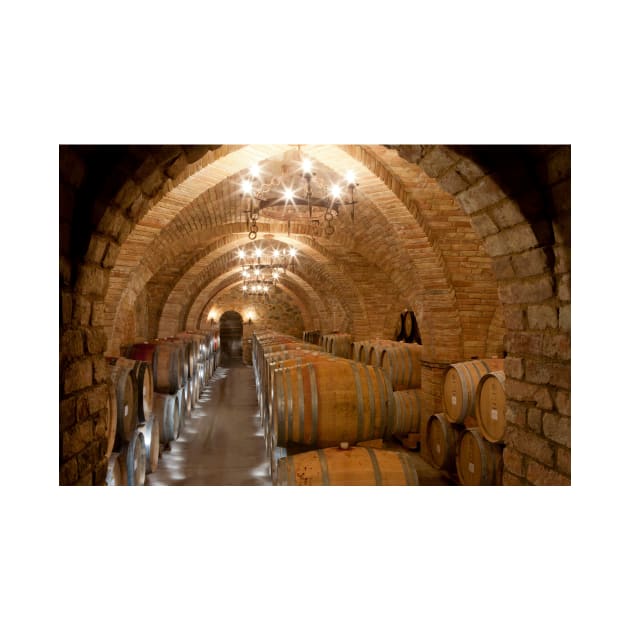 Wine barrels in a winery, California (C021/3159) by SciencePhoto