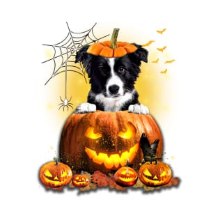 Border Collie Spooky Halloween Pumpkin Dog Head T-Shirt