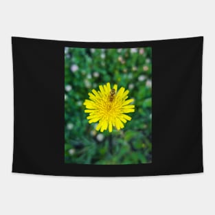 Dandelion Tapestry