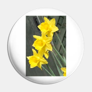 Yellow Daffodils Pin