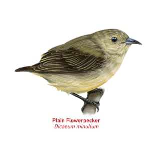 Plain Flowerpecker | Dicaeum minullum T-Shirt