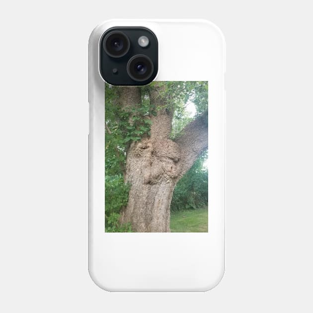 Fairy Face Magical Old Tree Phone Case by gillys