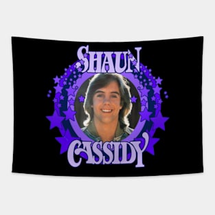 Star Tribute Shaun Cassidy Tapestry