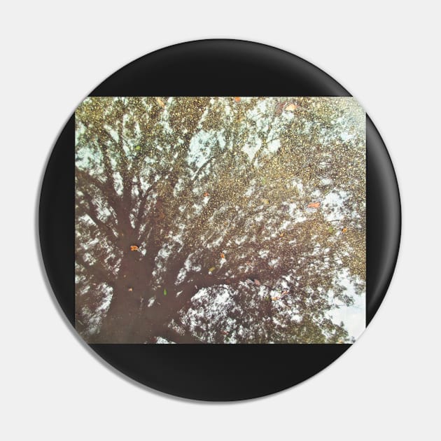 Reverie of a Tree Pin by RoxanneG