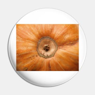 Pumpkin Close Up Pin