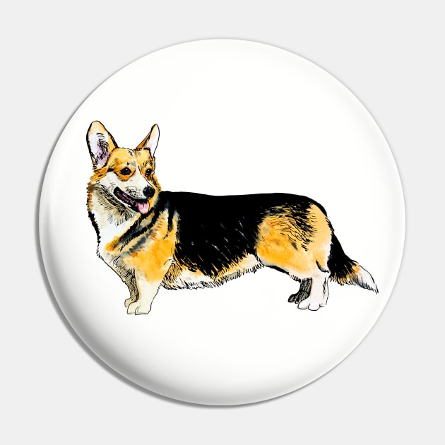 corgi pembroke Pin by VicaVeresk