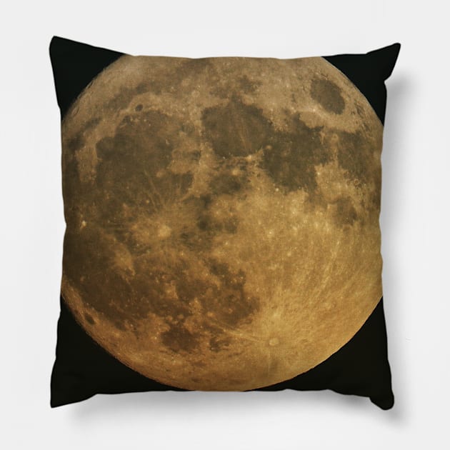 Full moon Pillow by RobertsArt