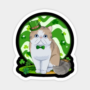 Exotic Shorthair Cat St. Patricks Day Irish Leprechaun Magnet