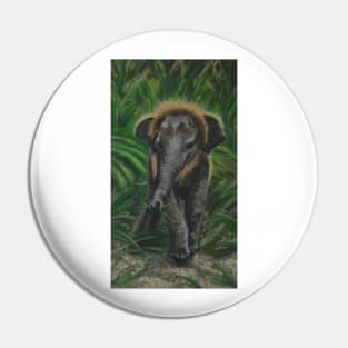 Baby Elephant in the tall grass Pin