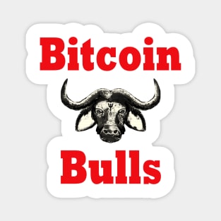 Bitcoin Bull Run Crypto Currency Magnet