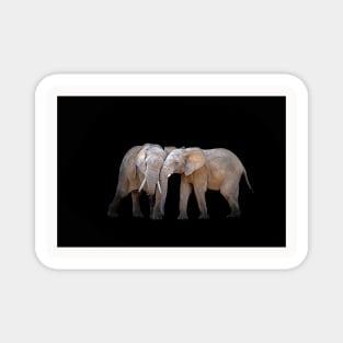 Elephant Animal Wildlife Jungle Nature Africa Adventure Discovery Digital Painting Magnet