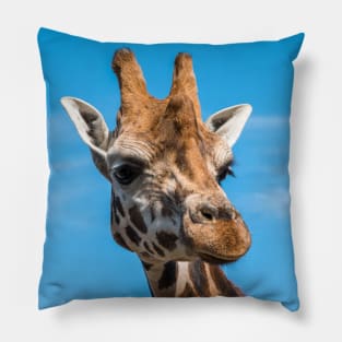 Close up photo of a Rothschild Giraffe head Pillow