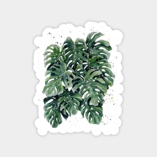 Monstera Leaves 9 Magnet