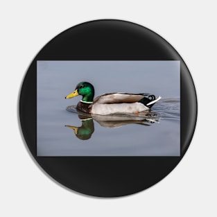 Mallard reflection Pin