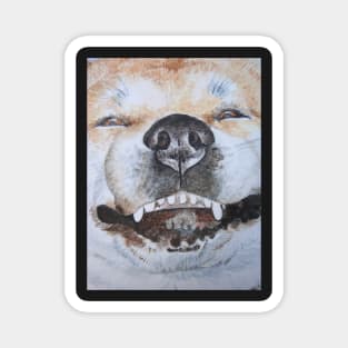 cute akita smiling funny dog portrait art Magnet