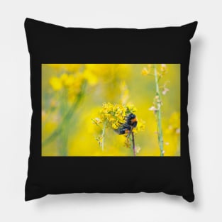 Bee Happy in Yellow Pillow