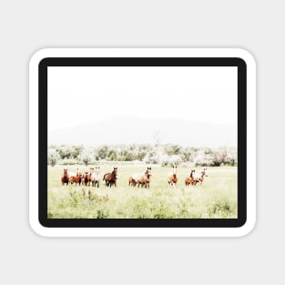 Wild Horses, Horse print, Horse art, Wall art, Wall decor, Trendy print, Animal print, Interior Magnet