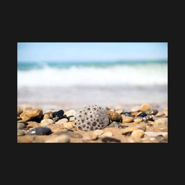 Petoskey Stone on Lake Michigan Beach by opptop