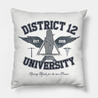 District 12 University Pillow