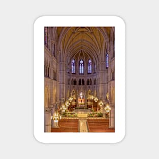 Cathedral Basilica of the Sacred Heart 2 Magnet