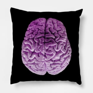 The Purple Brain Pillow