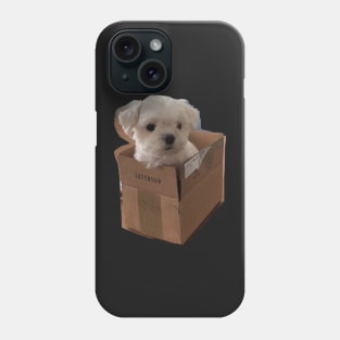 maltese Phone Case