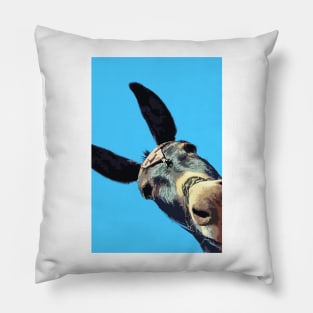 Greek Islands - Donkey Pillow