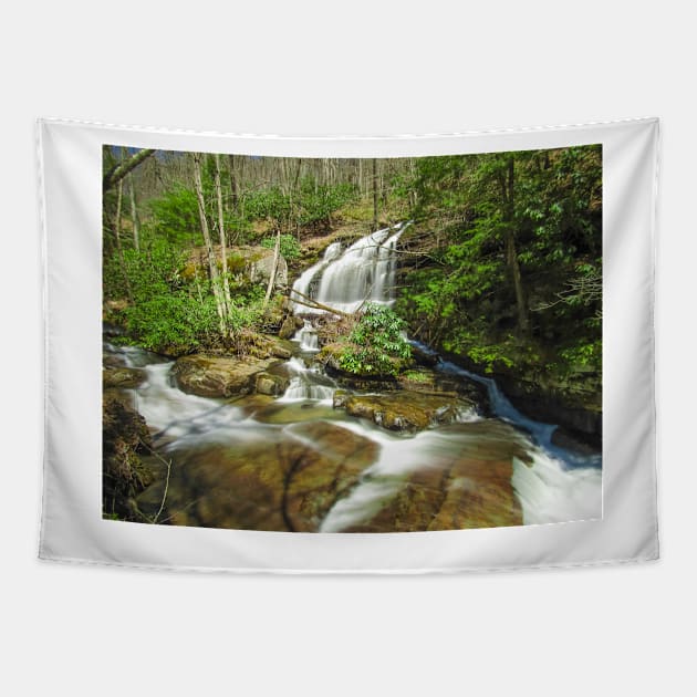 Hemlock Hollow Early Spring Tapestry by PaulLu