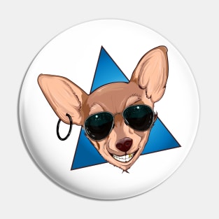 dog with glasses Pin