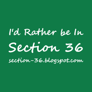 RBI Section 36 Script T-Shirt