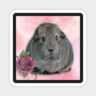 Guinea Pig Cute Rose Heart Floral Funny Design Magnet