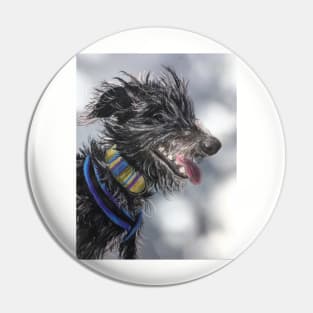 Beddy Whippet Scruffy Lurcher Pin