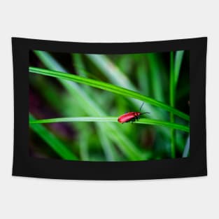 Scarlet lily beetle Tapestry