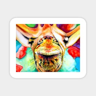 Giraffe Portrait Magnet