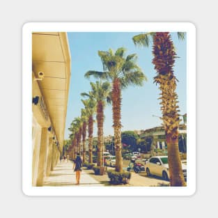 Pretty picture of a Palm Tree. Pretty Palm Trees Photography design with blue sky Magnet