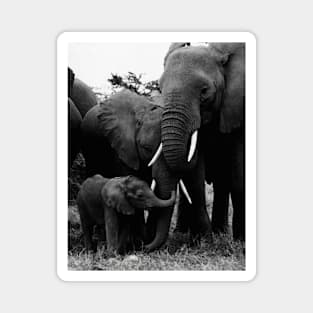 Vintage Kenya Elephants Magnet