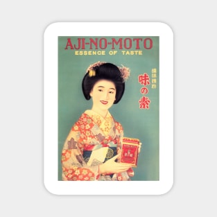 Ajinomoto Seasoning Advertisement Japanese Kimono Lady Vintage Magnet