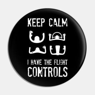 Airplane Pilot - I have the Flight Controls Pin