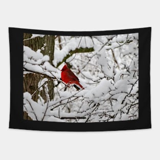 Winter Cardinal 3 Tapestry