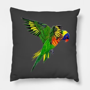 Rainbow Lorikeet Pillow