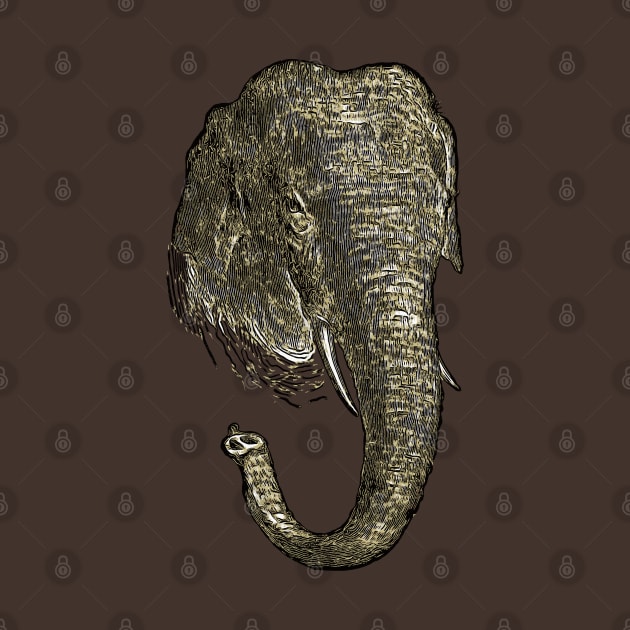 Graphic Novel Style Head And Trunk Of An Asiatic Elephant Vector by taiche