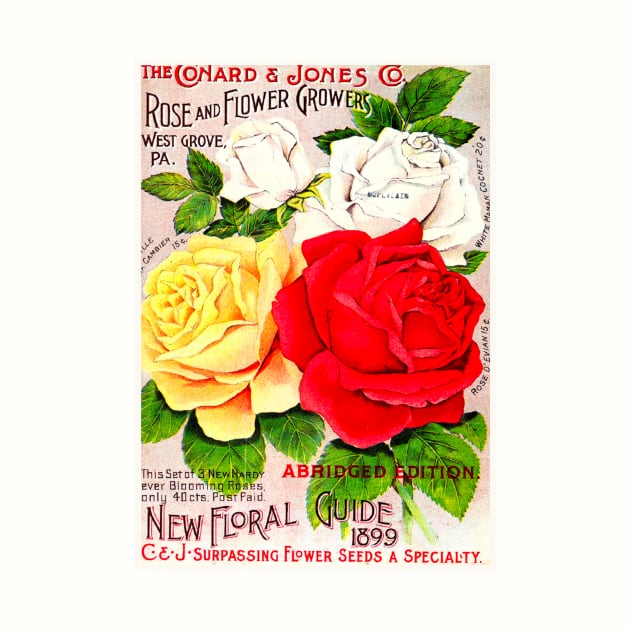 The Conard and Jones Co. Rose and Flower Catalogue by WAITE-SMITH VINTAGE ART