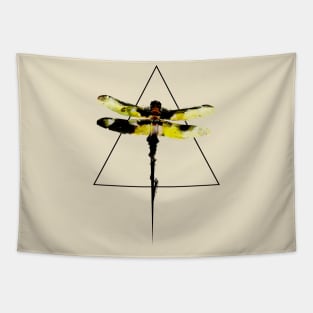 Dragonfly and the Triangle Tapestry