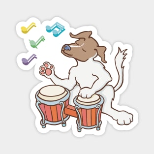 Jack Russell playing on a bongo drum. Magnet